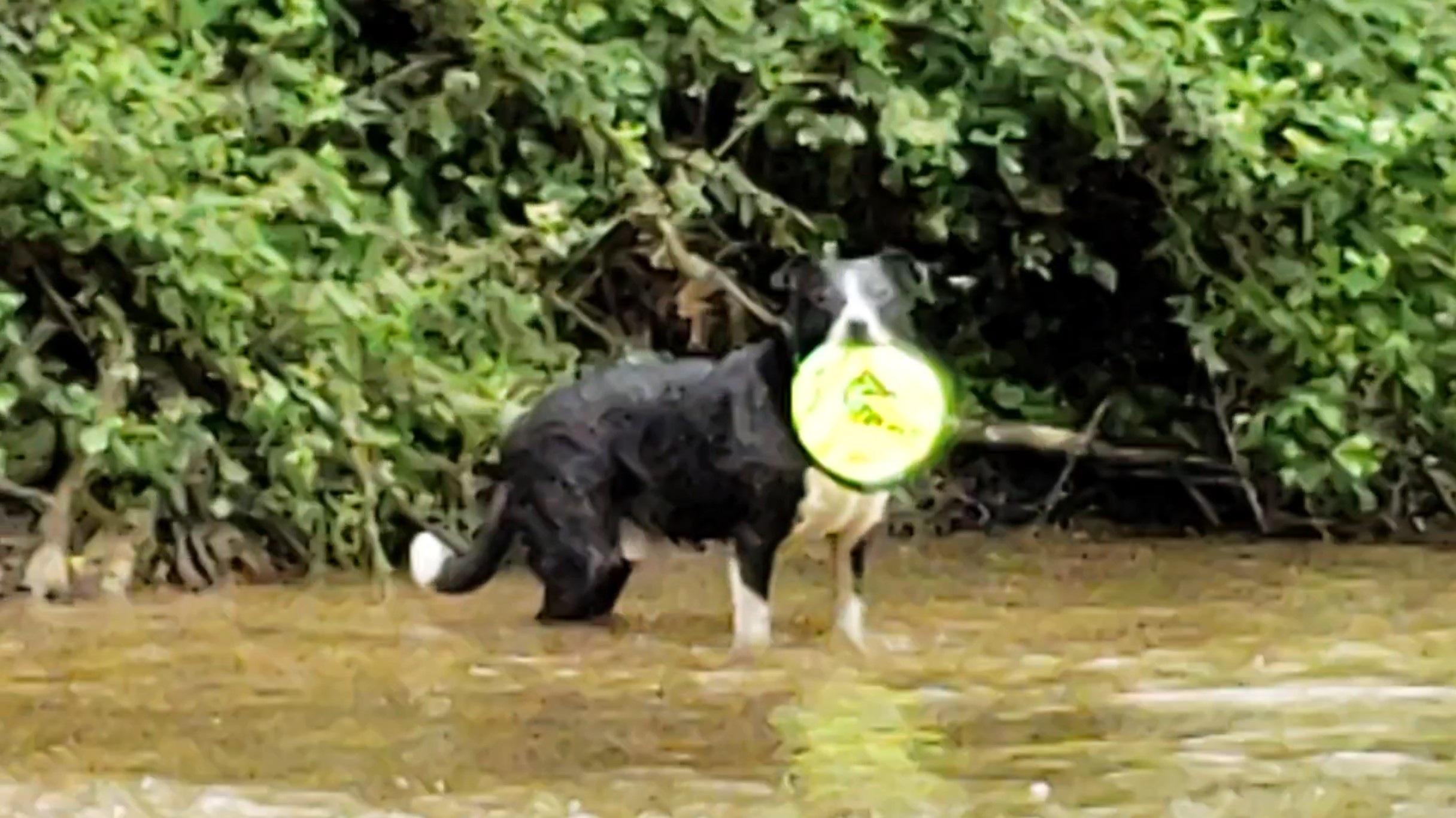 Splashing Around